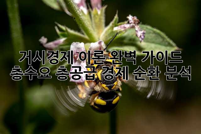 거시경제 이론 완벽 가이드: 총수요, 총공급, 경제 순환 분석