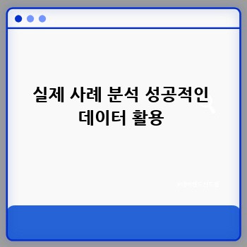 실제 사례 분석 성공적인 데이터 활용