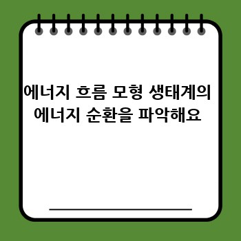 에너지 흐름 모형 생태계의 에너지 순환을 파악해요
