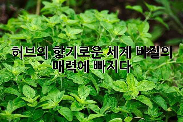 허브의 향기로운 세계: 바질의 매력에 빠지다