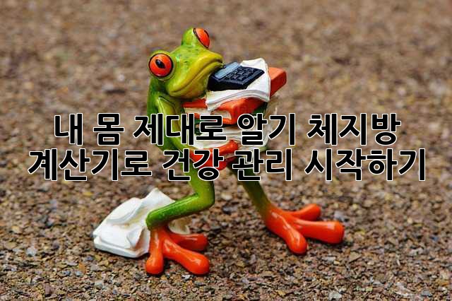 내 몸, 제대로 알기: 체지방 계산기로 건강 관리 시작하기