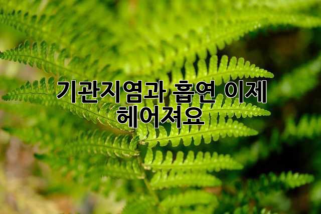 기관지염과 흡연, 이제 헤어져요!
