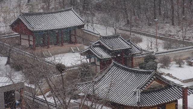 조선 후기 사회 변화: 신분, 상업, 문화의 변모