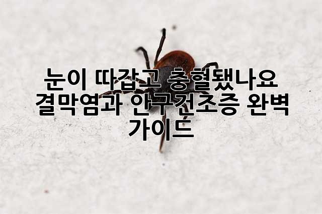눈이 따갑고 충혈됐나요? 결막염과 안구건조증 완벽 가이드