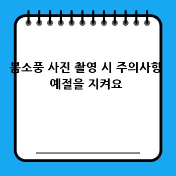 봄소풍 사진 촬영 시 주의사항 예절을 지켜요