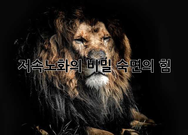 저속노화의 비밀, 숙면의 힘