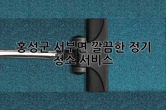 홍성군 서부면 깔끔한 정기 청소 서비스