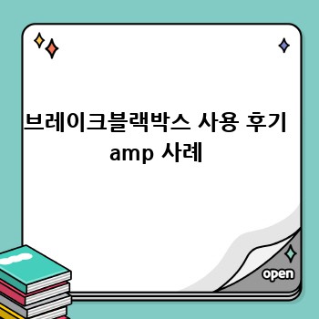 브레이크블랙박스 사용 후기 amp 사례