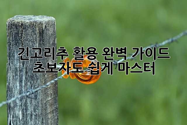 긴고리추 활용 완벽 가이드: 초보자도 쉽게 마스터!
