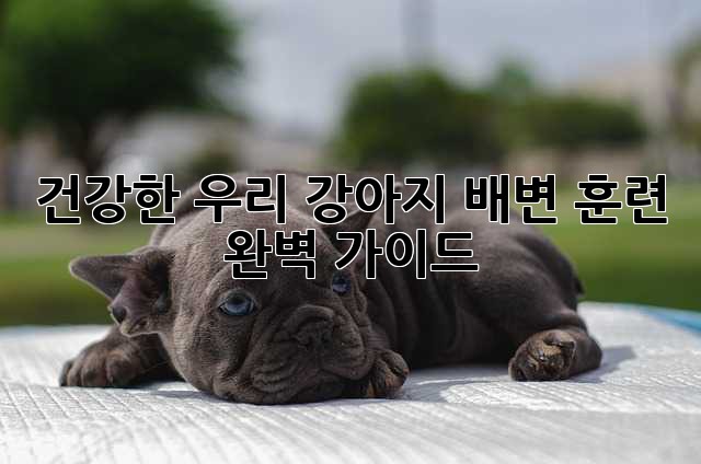 건강한 우리 강아지, 배변 훈련 완벽 가이드!