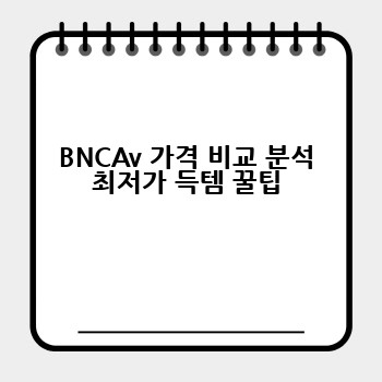 BNCAv 가격 비교 분석 최저가 득템 꿀팁