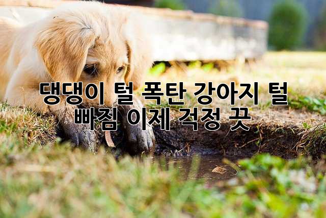 댕댕이 털 폭탄? 강아지 털 빠짐 이제 걱정 끗!