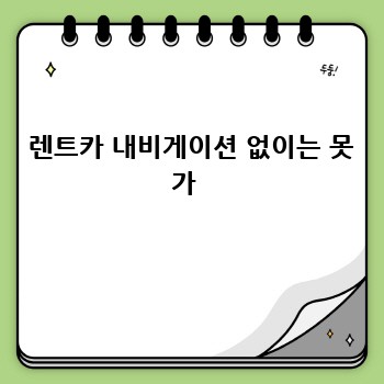  렌트카 내비게이션 없이는 못 가 